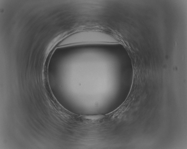 X0000071780340200606300922