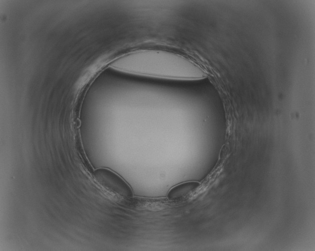 X0000071780341200606300922