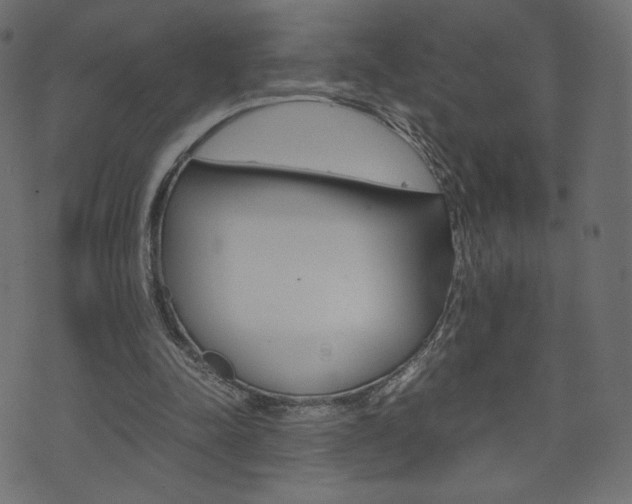 X0000071780342200606300922