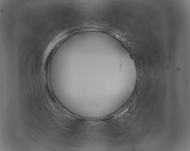 X0000071780343200606300922