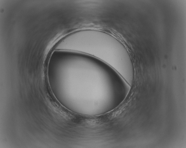 X0000071780344200606300922