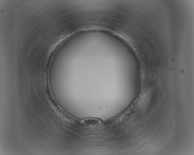 X0000071780345200606300922