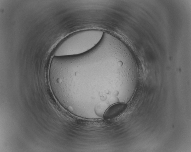 X0000071780347200606300922