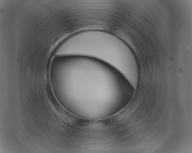 X0000071780348200606300922