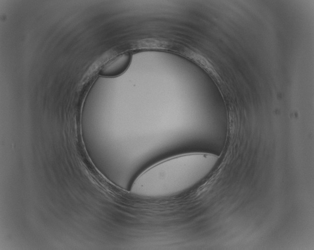 X0000071780349200606300922