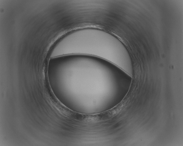 X0000071780350200606300922