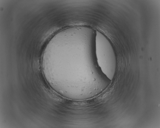 X0000071780351200606300922