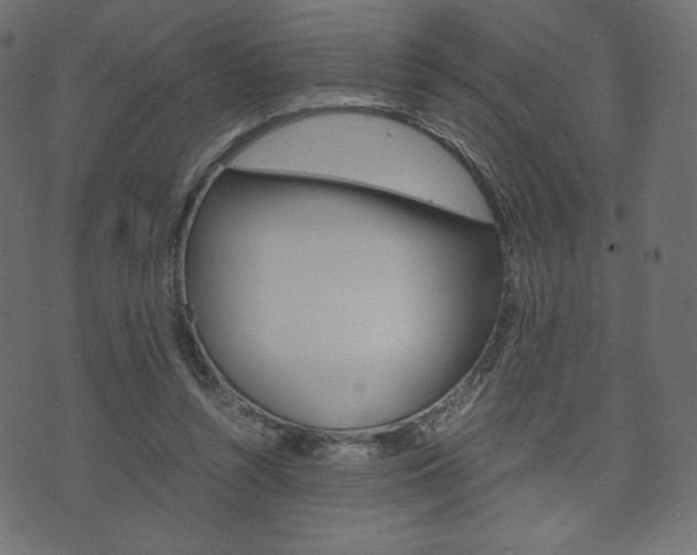 X0000071780352200606300922