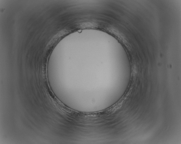 X0000071780353200606300922