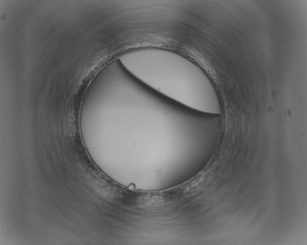 X0000071780354200606300922