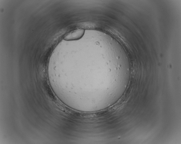 X0000071780355200606300922