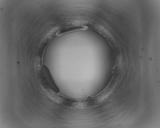 X0000071780356200606300923