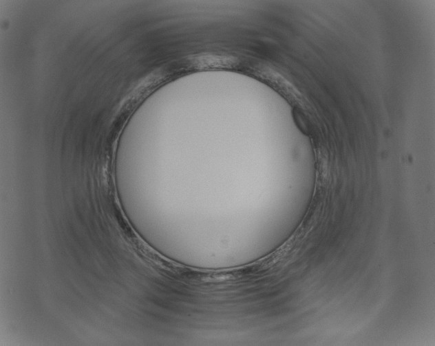 X0000071780357200606300923