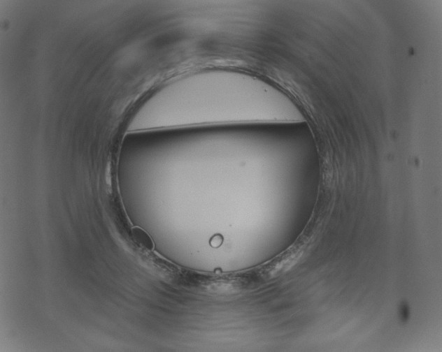 X0000071780358200606300923