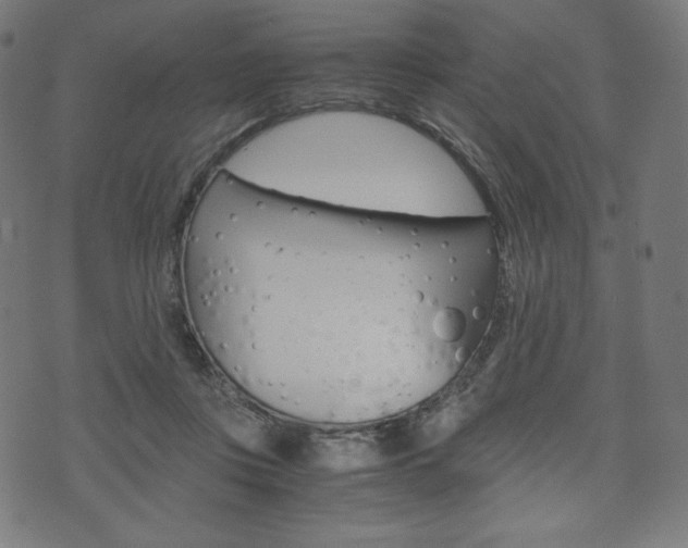 X0000071780359200606300923