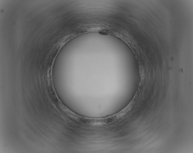 X0000071780360200606300923