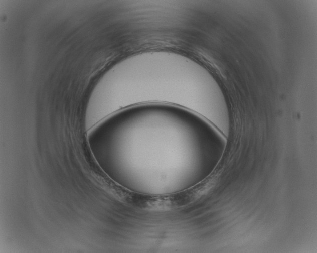 X0000071780362200606300923