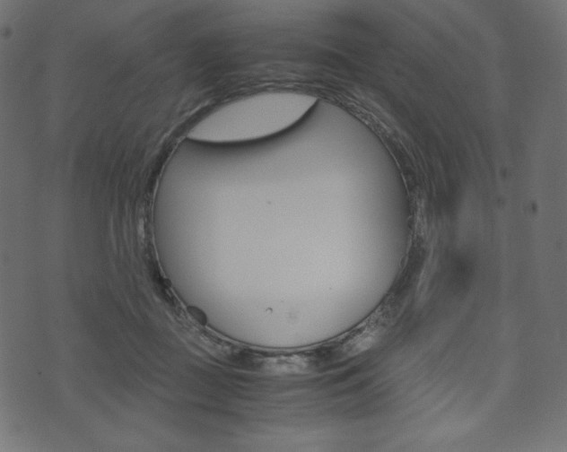 X0000071780363200606300923