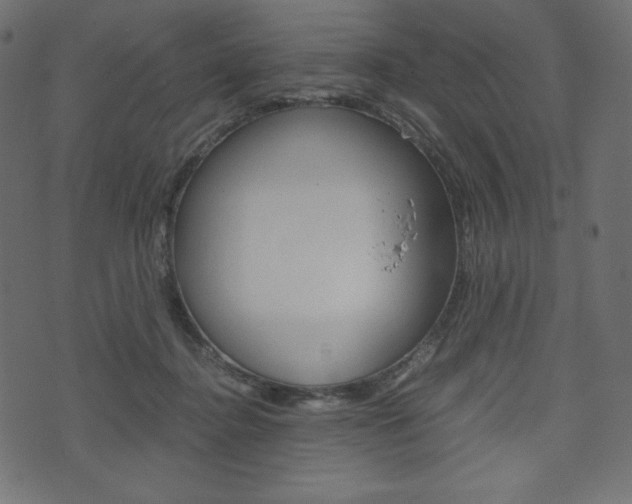 X0000071780364200606300923