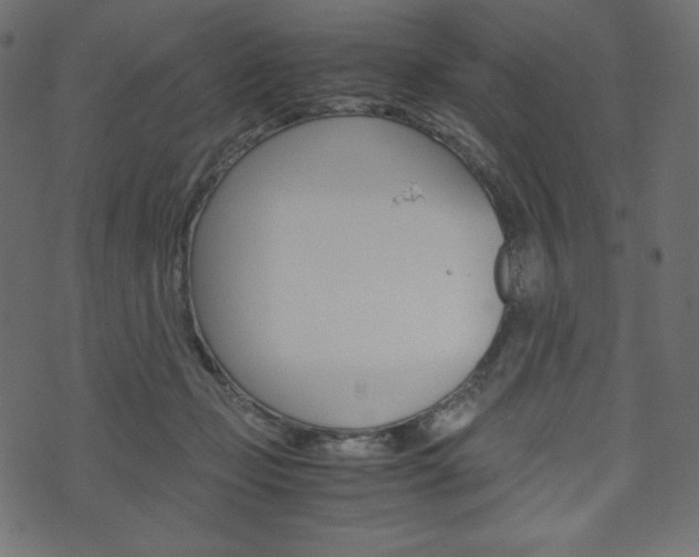 X0000071780365200606300923