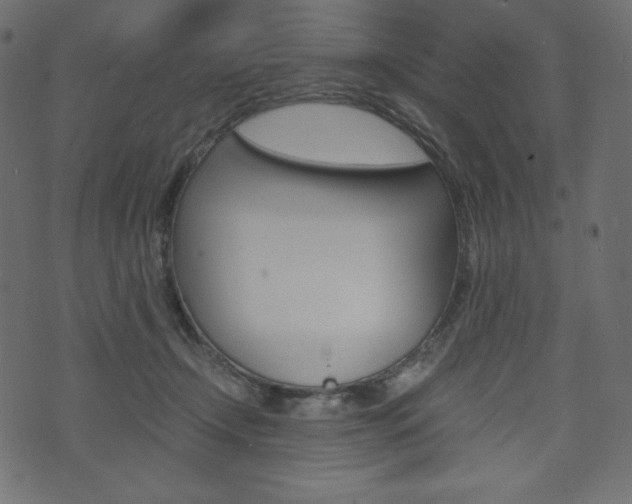 X0000071780366200606300923