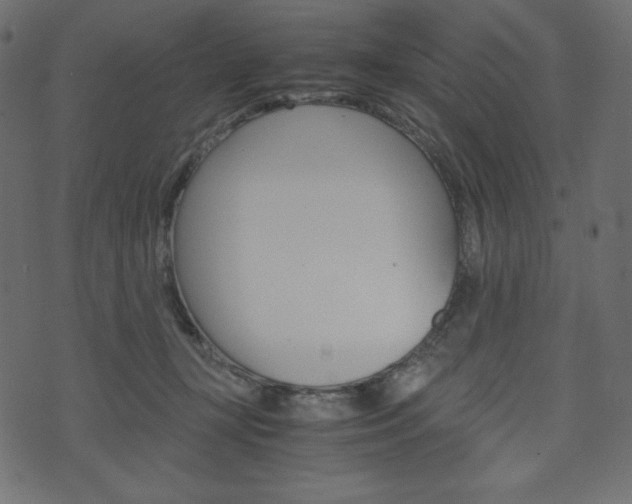 X0000071780367200606300923