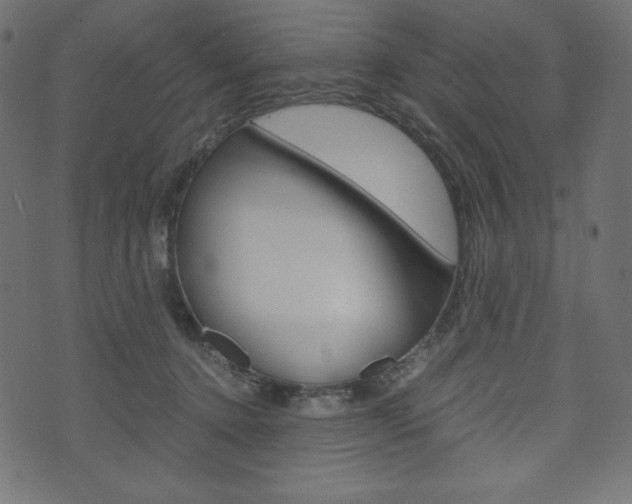 X0000071780368200606300923