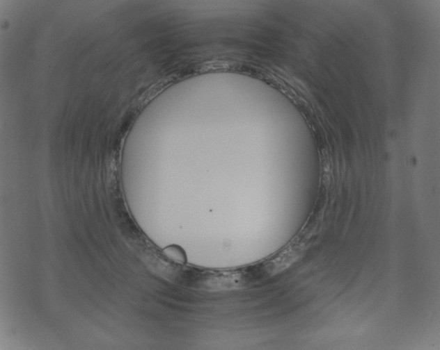 X0000071780369200606300923