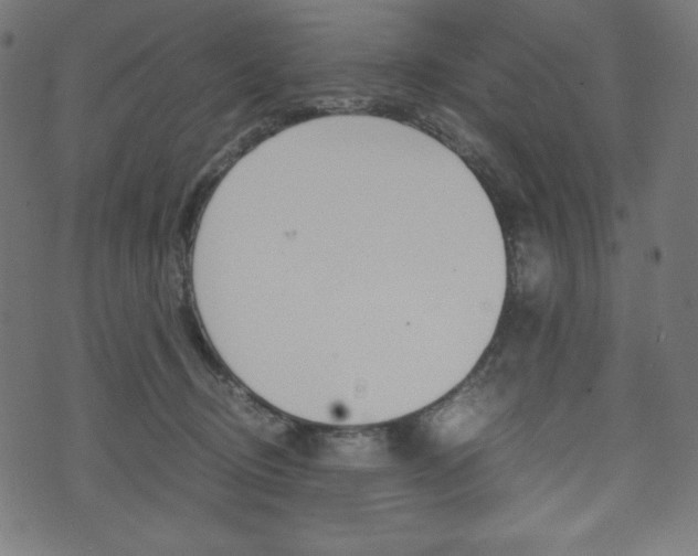 X0000071780370200606300923