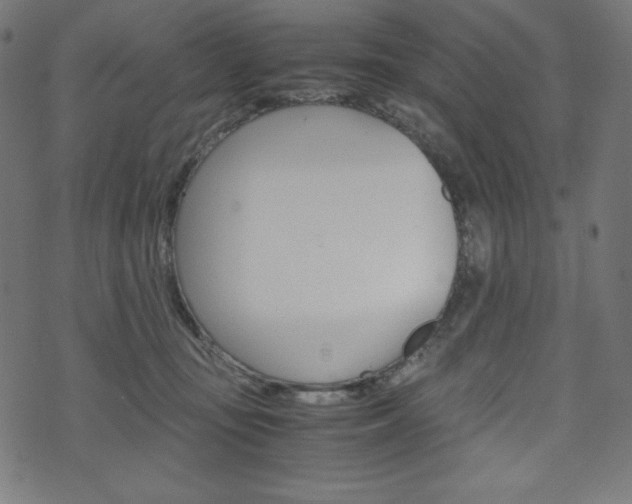 X0000071780371200606300923