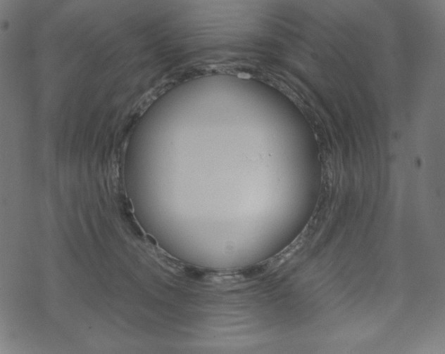 X0000071780372200606300923