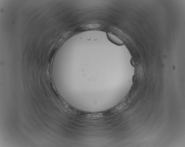 X0000071780373200606300923