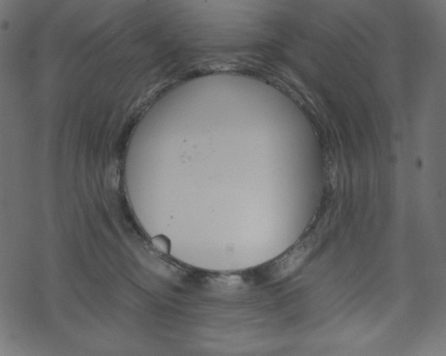 X0000071780374200606300923