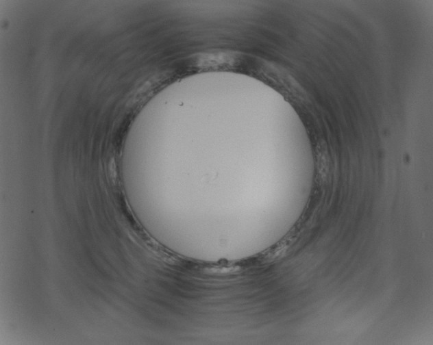 X0000071780375200606300923