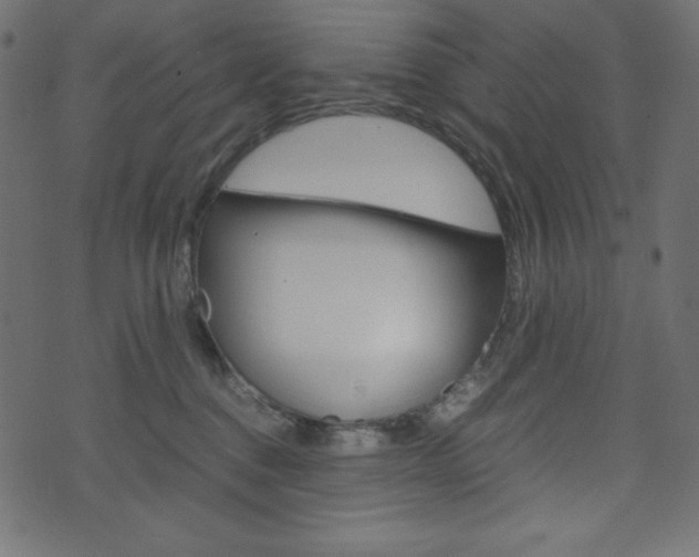 X0000071780376200606300923