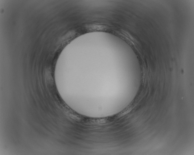 X0000071780377200606300923