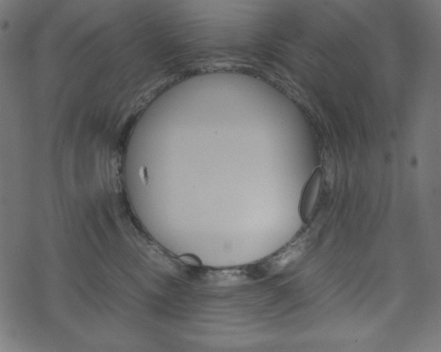 X0000071780378200606300923