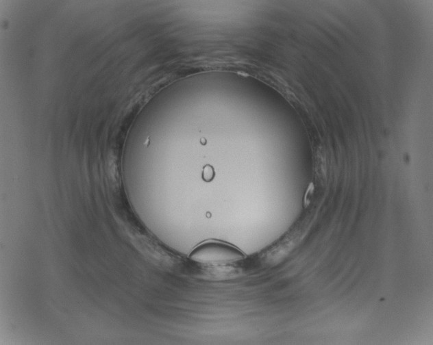 X0000071780380200606300923