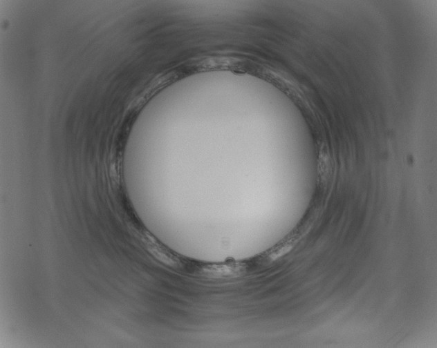 X0000071780381200606300923