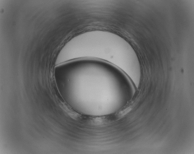 X0000071780382200606300923