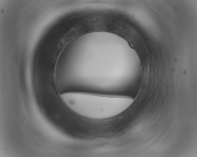 X0000071780383200606300923