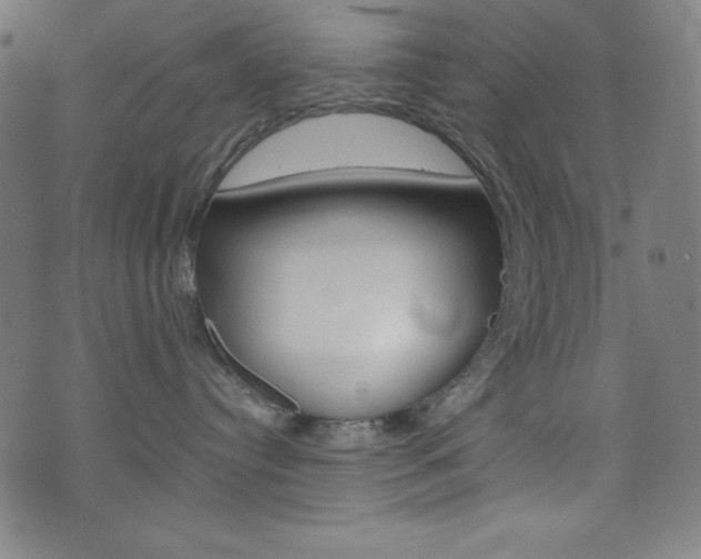 X0000071780384200606300923