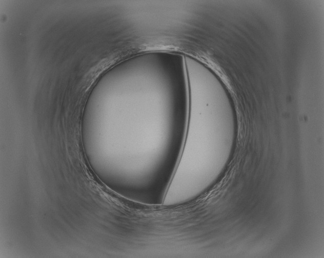 X0000071780385200606300922