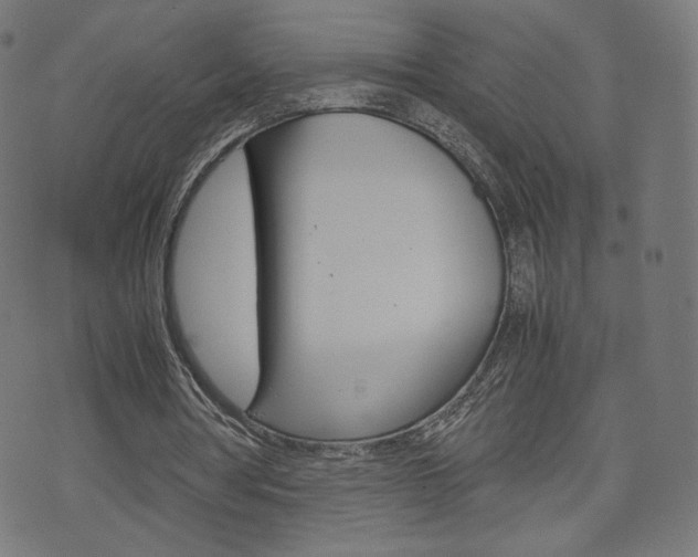 X0000071780386200606300922