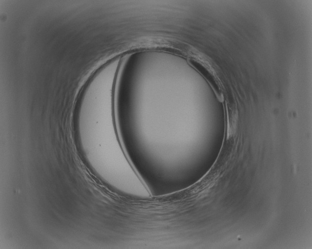 X0000071780387200606300922