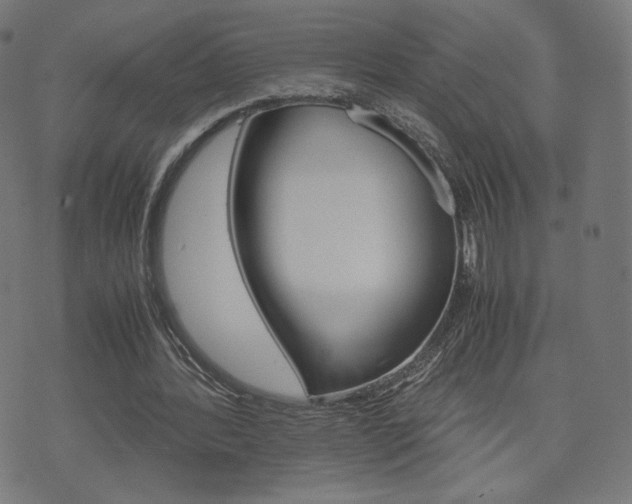 X0000071780388200606300922