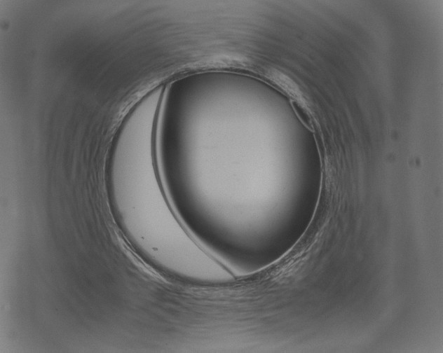 X0000071780389200606300922