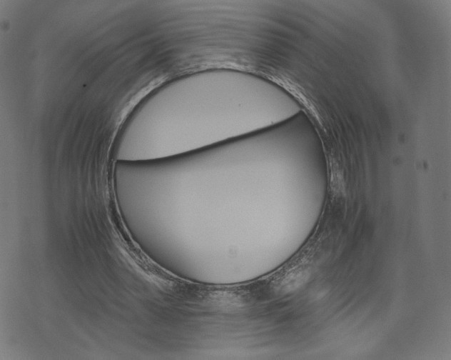 X0000071780390200606300922