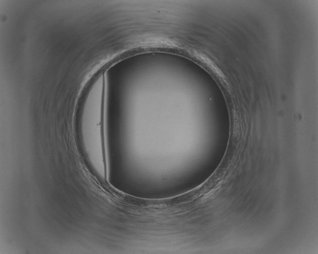 X0000071780391200606300922