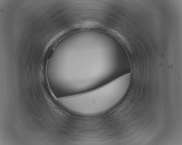 X0000071780392200606300922